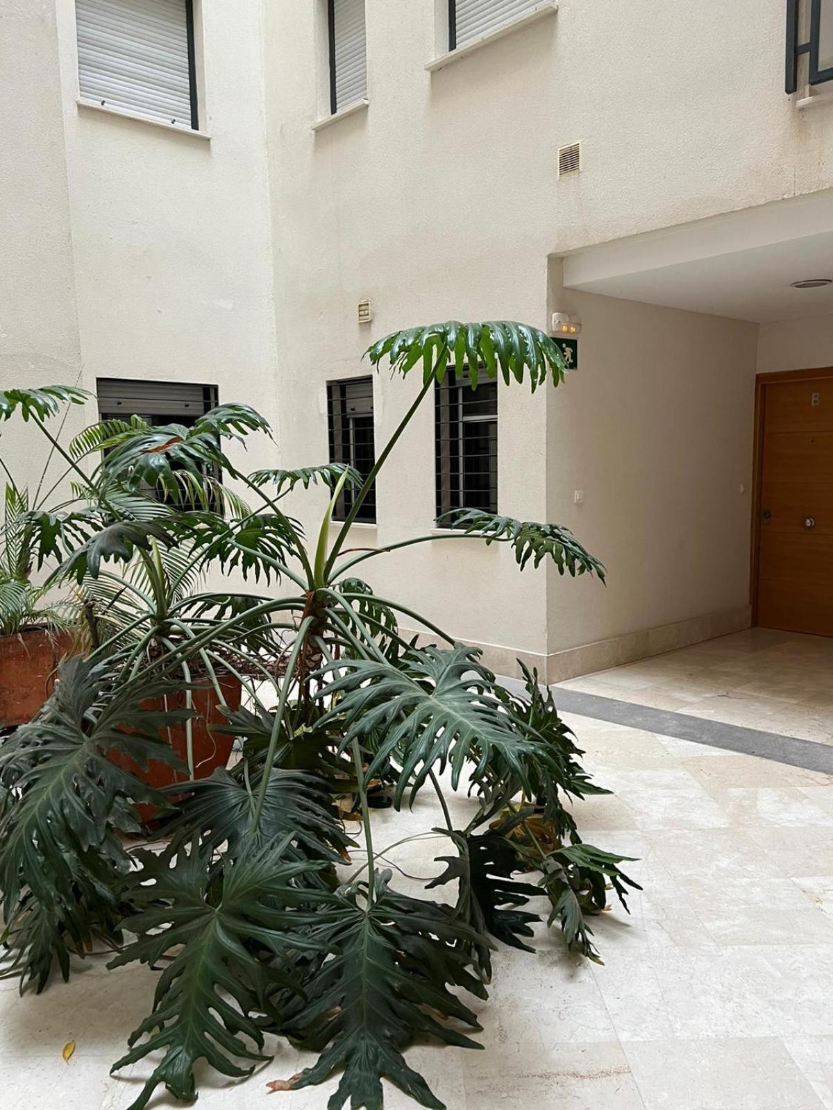 Habitaciones Privadas En Apartamento Compartido Algeciras Luaran gambar